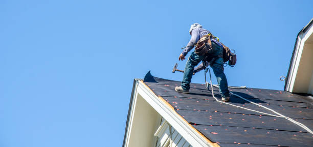 Best Roof Gutter Cleaning  in Schlusser, PA